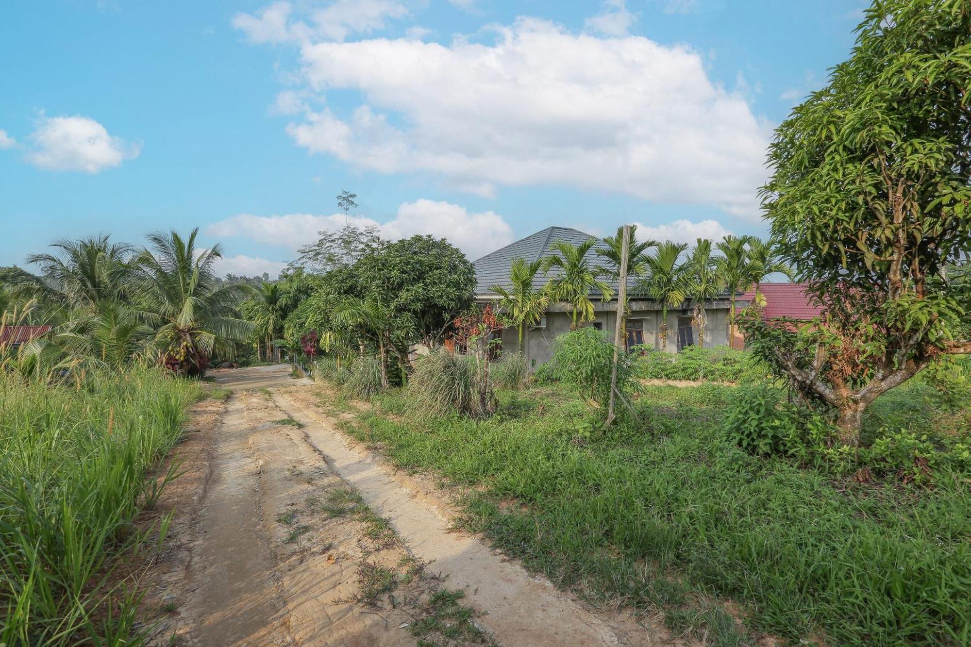 Oyo 92587 Homestay Romauli Kampung Radja Jambi Εξωτερικό φωτογραφία