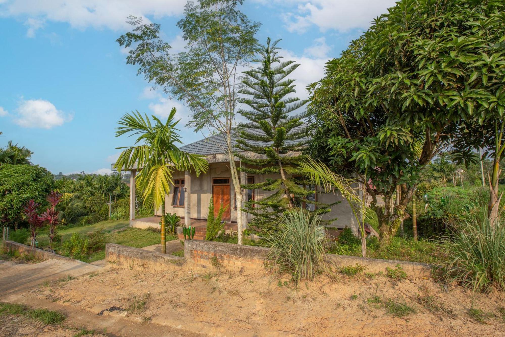 Oyo 92587 Homestay Romauli Kampung Radja Jambi Εξωτερικό φωτογραφία